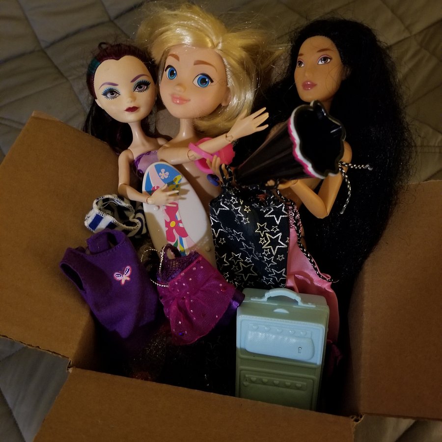 Fashion Doll Junk Box product image (3)