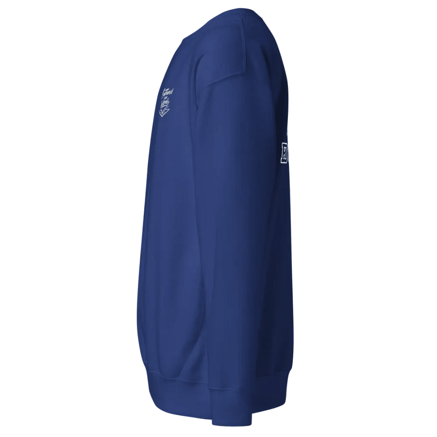Cotton Premium Sweatshirt - Embroidered CiW logo product image (28)