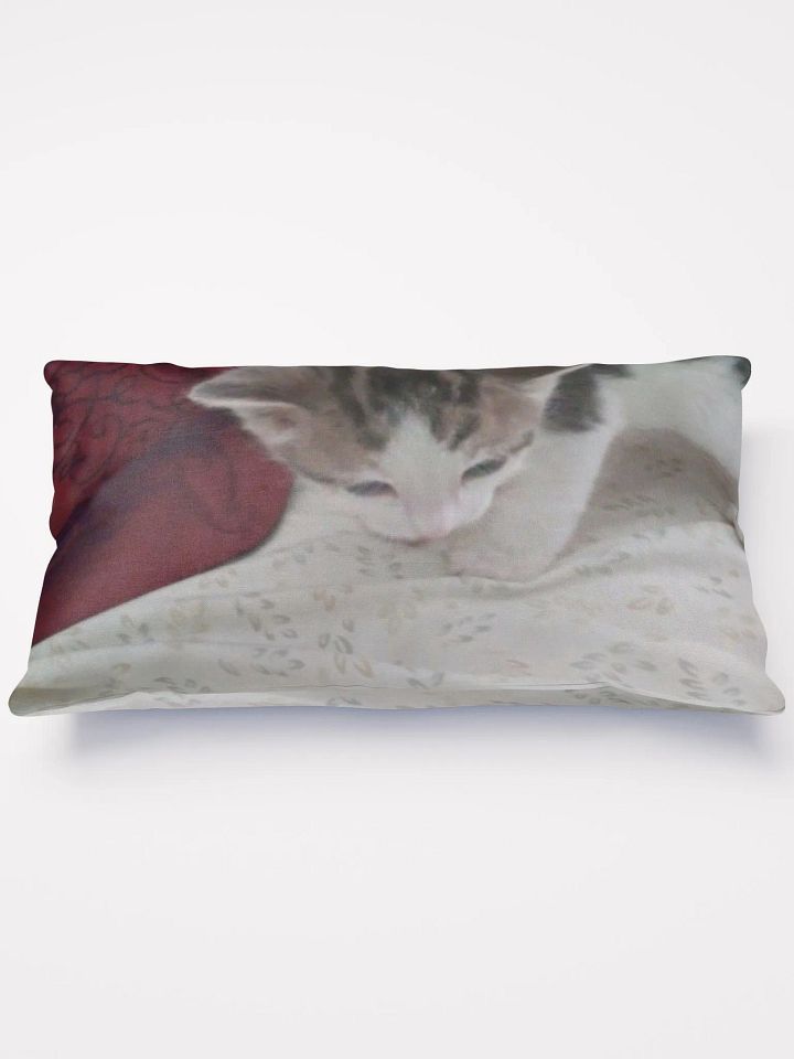 Adorable Kitten product image (1)
