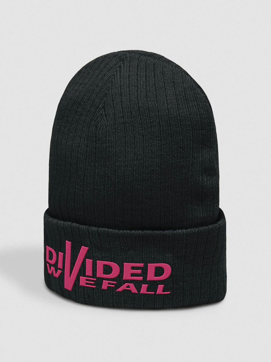 Divided We Fall - Pink - Atlantis Ribbed Knit Beanie product image (2)