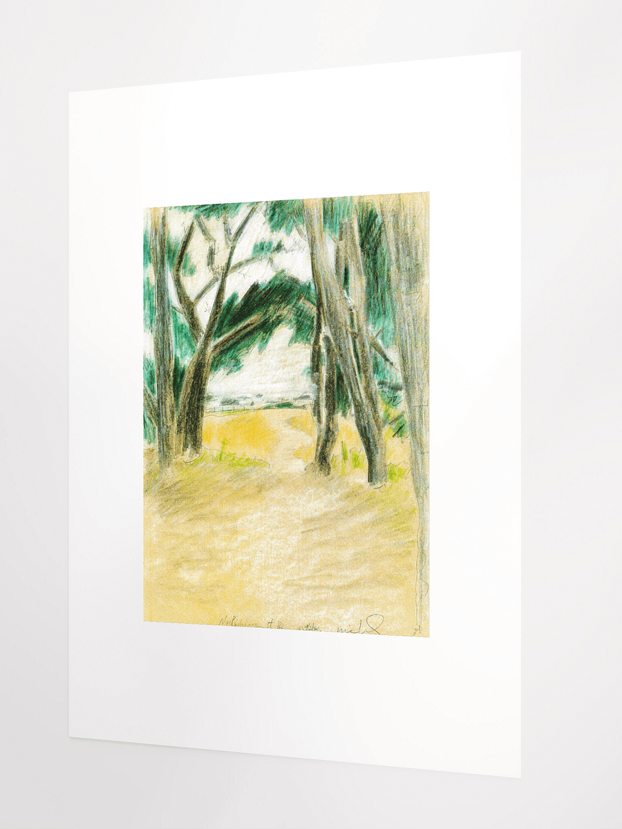 Mackerricher State Park, CA 09.02.86 print product image (3)