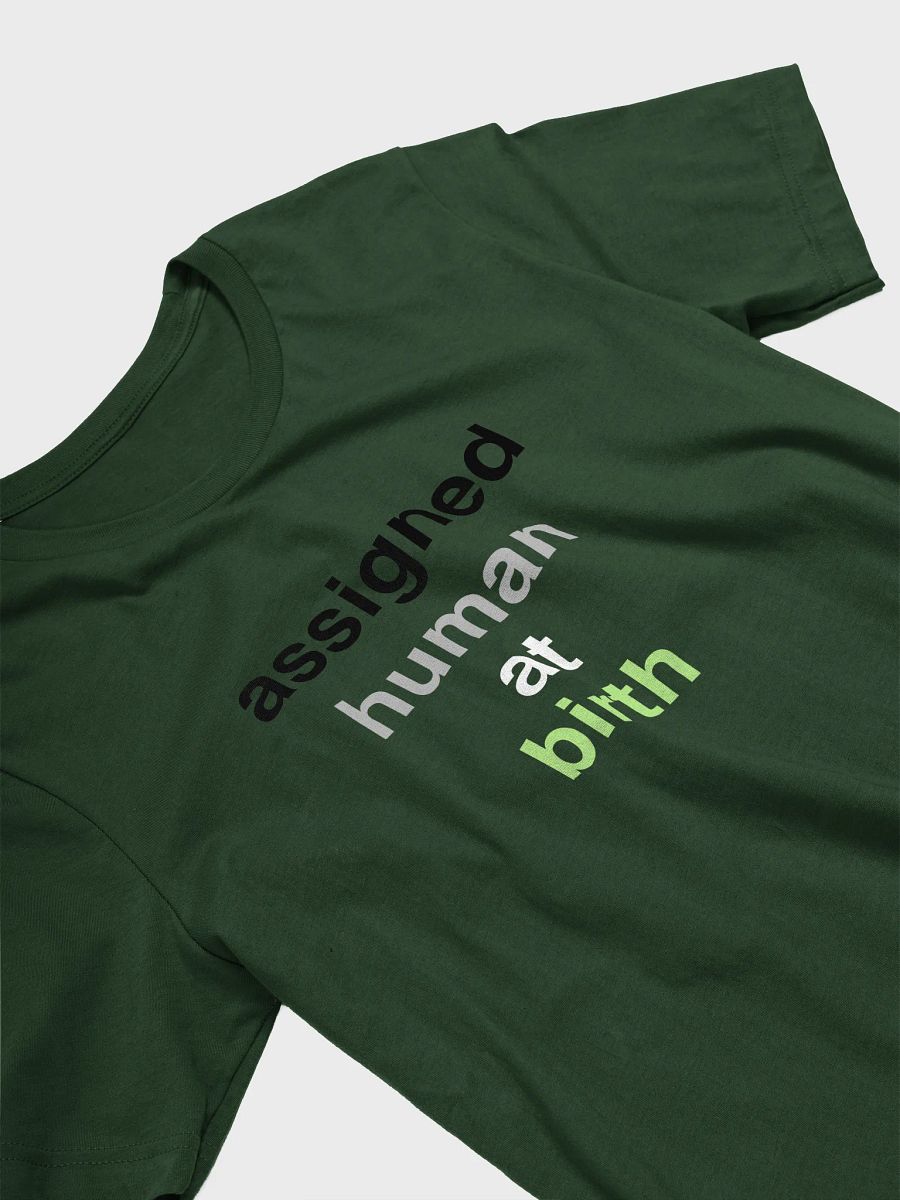 assigned human at birth agender t-shirt product image (3)