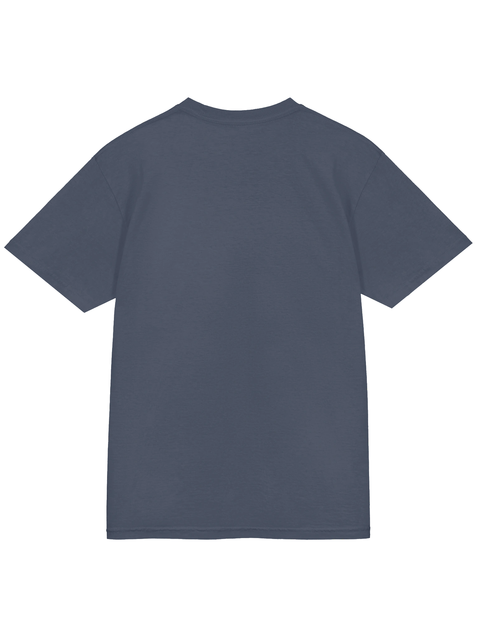 The President T Shirt product image (5)