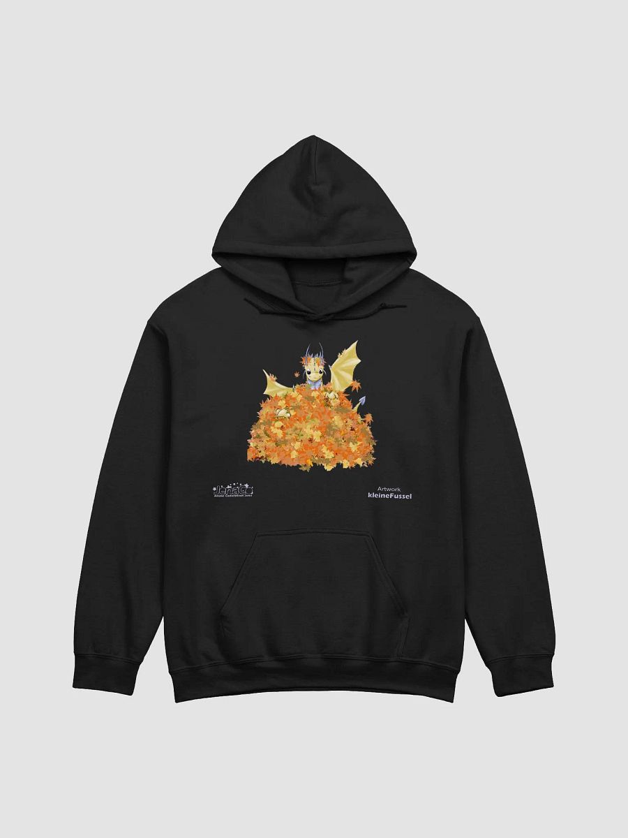 JenaCo II - Hoodie product image (3)