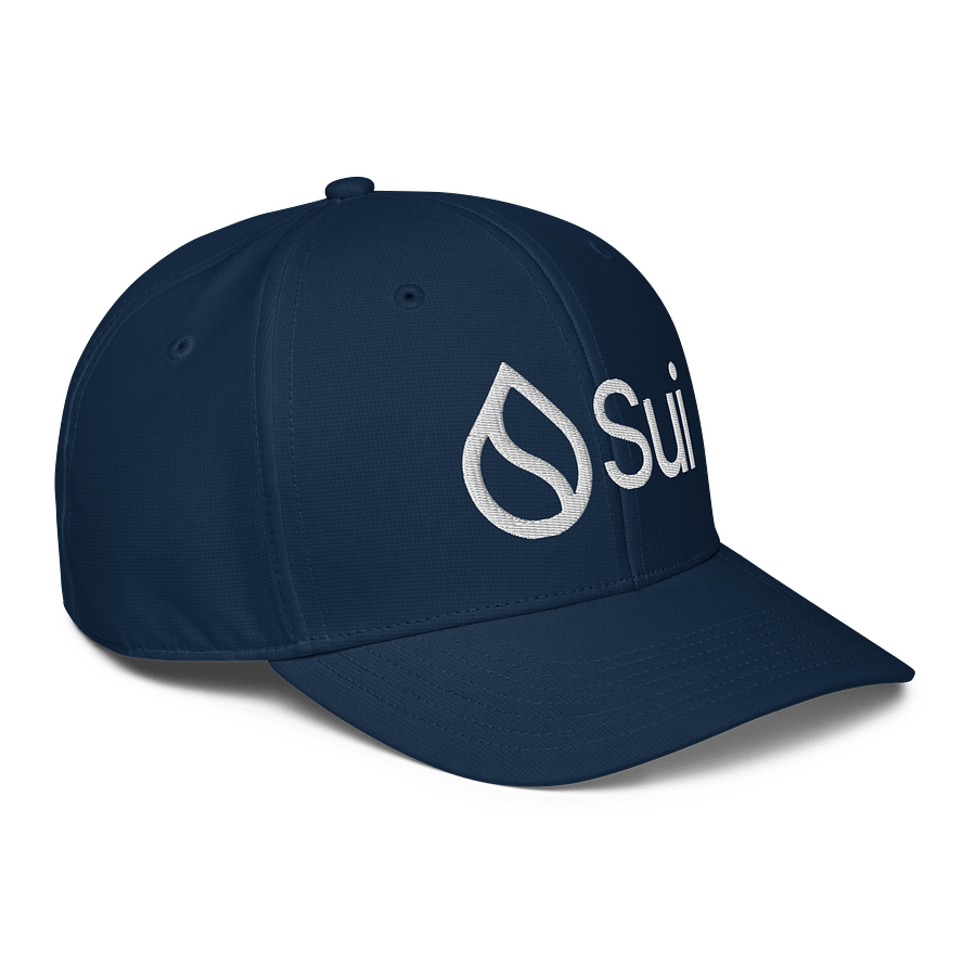 Adidas/Sui Cap product image (3)