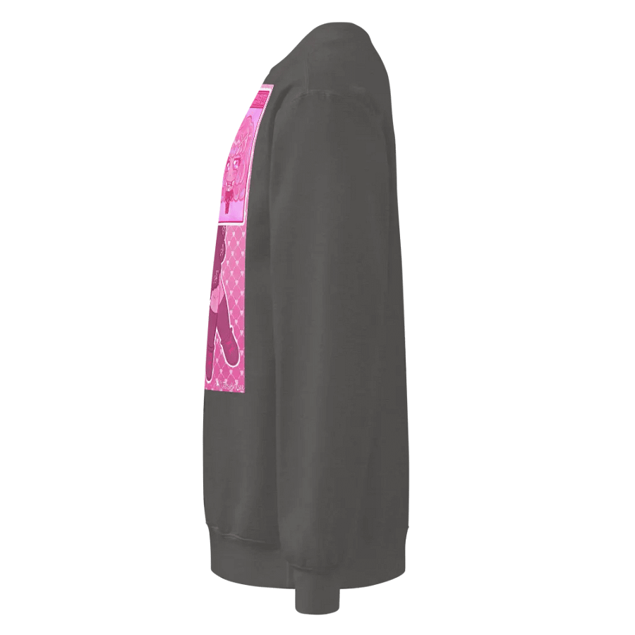 NSO Pinkie pullover product image (3)