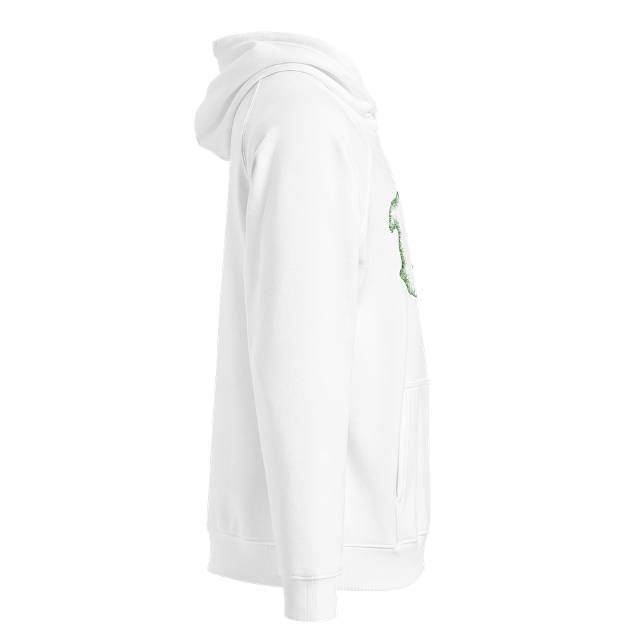 Dragon's Fury Eco Raglan Hoodie product image (3)