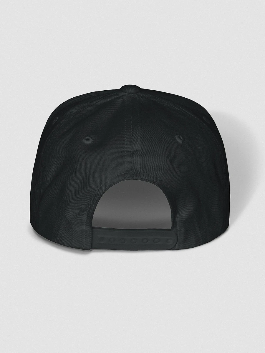 SRSE Snapback Hat product image (4)