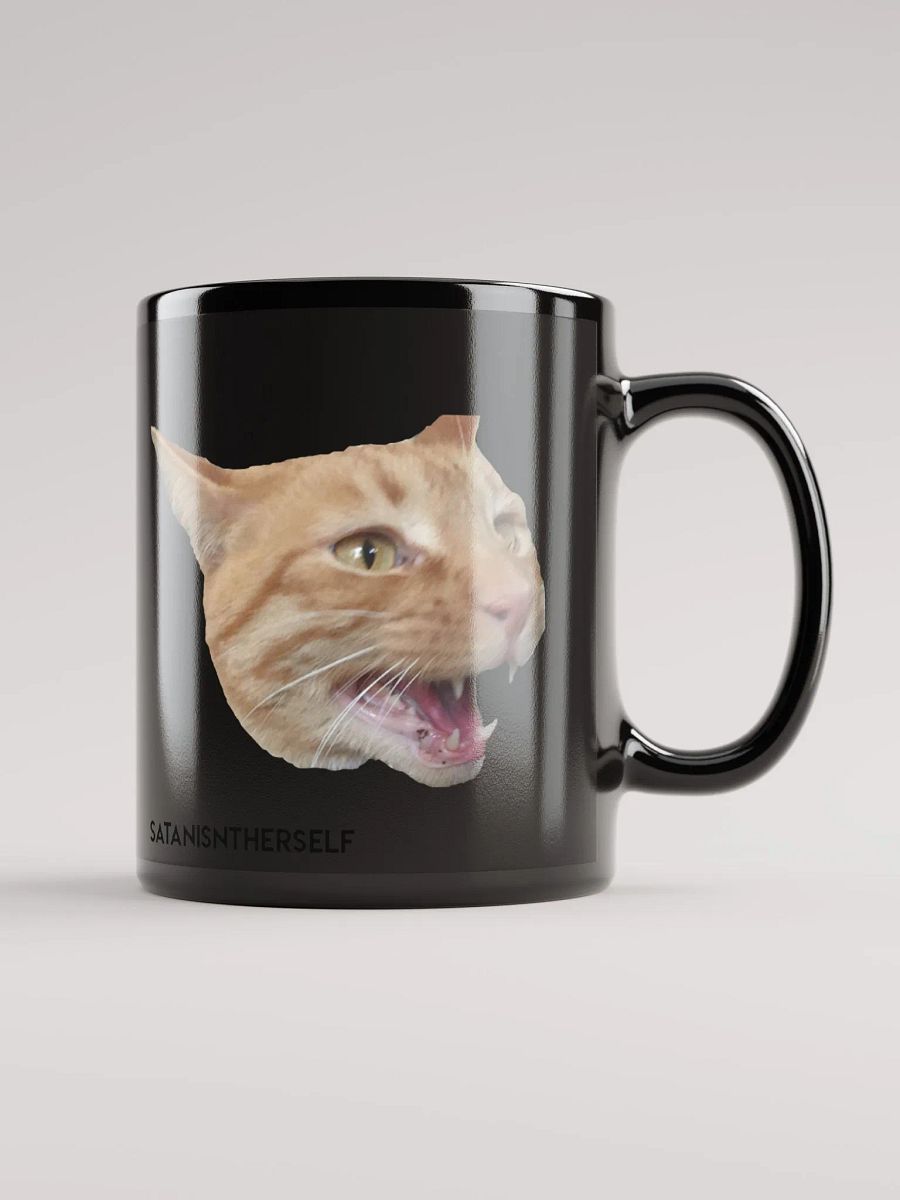 The Duality of Cat - Black product image (1)