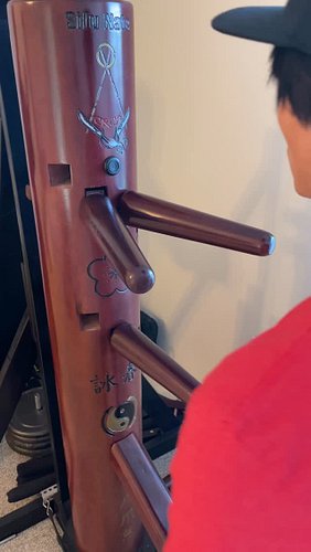 6-hit combo on the wooden dummy to train your flow, timing, and coordination 💥 Using Lin Sil Dai Da (simultaneous attack and ...