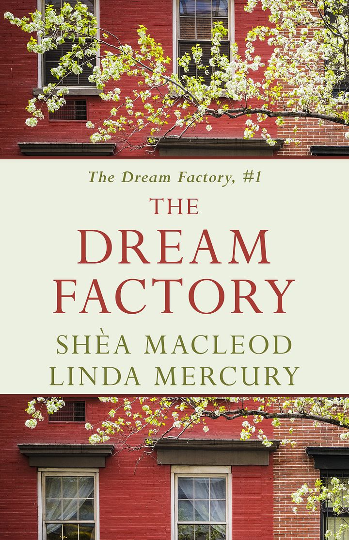 E Book The Dream Factory product image (1)
