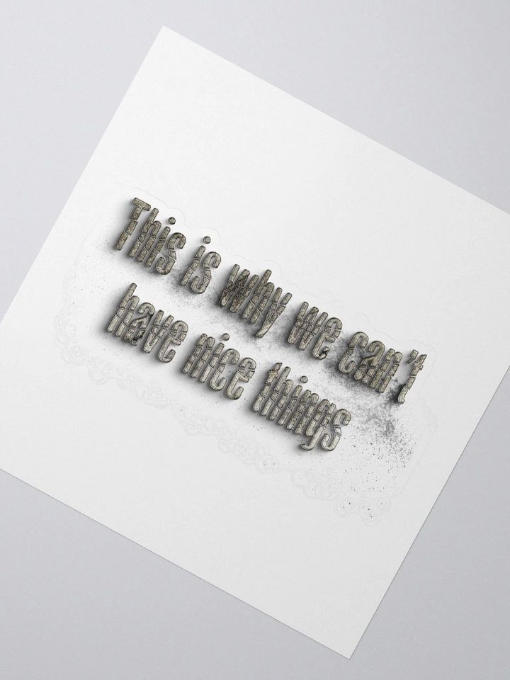 THIS IS WHY WE CAN'T HAVE NICE THINGS product image (5)