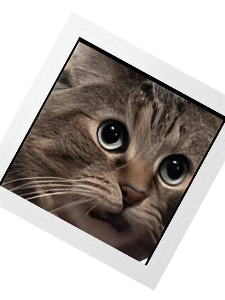 Stick'd Mikey product image (7)