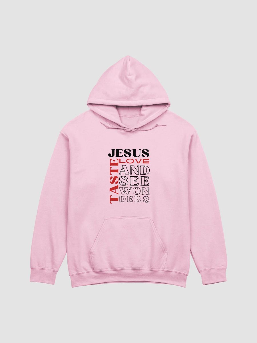 Taste JESUS Love Gildan Christian Hoodie product image (23)