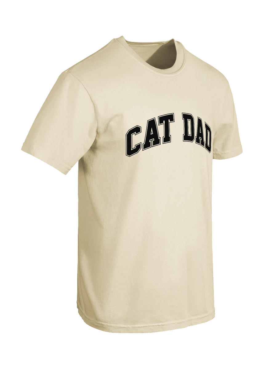 Cat Dad T-Shirt - Relaxed Fit Heavyweight Unisex Cotton T-Shirt product image (8)