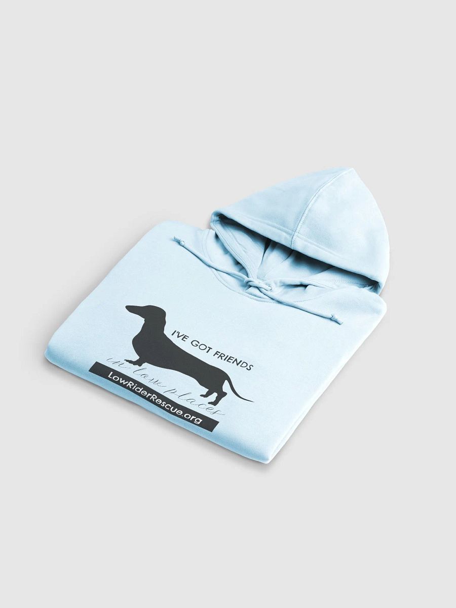 Low Rider Rescue - Friends in Low Places - Women's Hoodie product image (13)