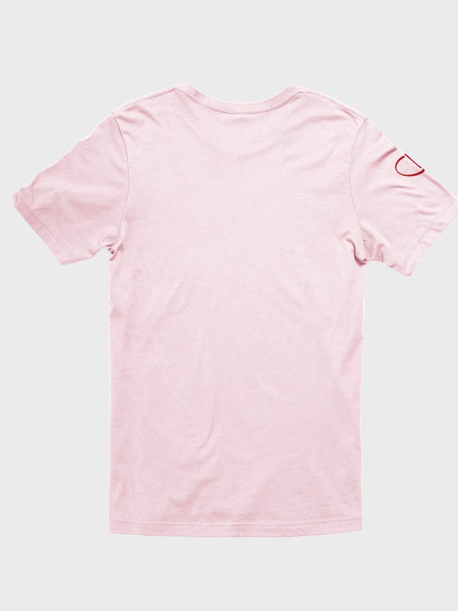 Somatica Sex Coaches do it with feeling T-Shirt product image (4)
