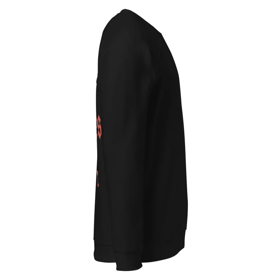 Mystic Aries Circle Organic Sweatshirt product image (15)