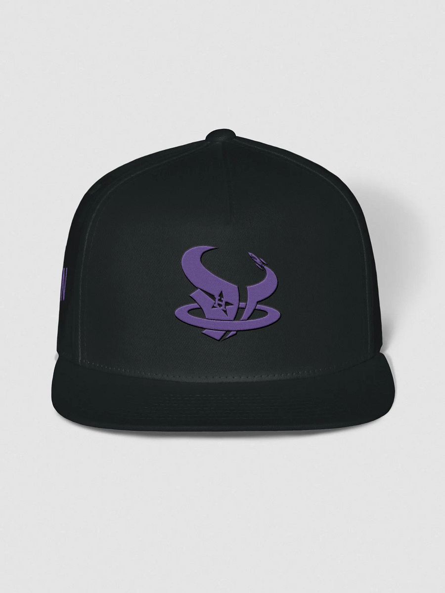 Houston Hometeam (Screwed Up) Snapback product image (1)