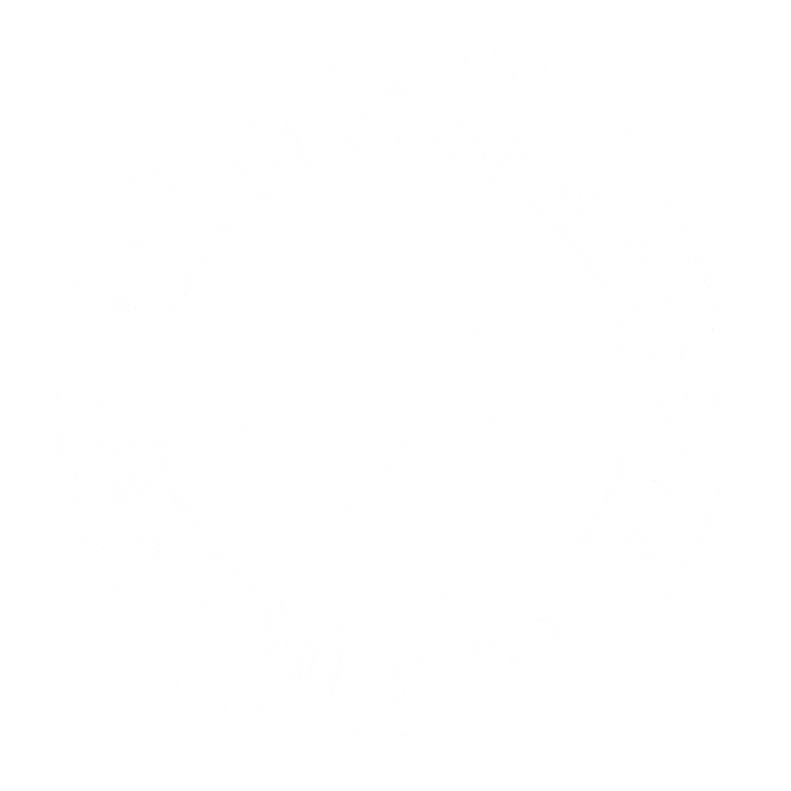 War Screaming shield maiden product image (1)