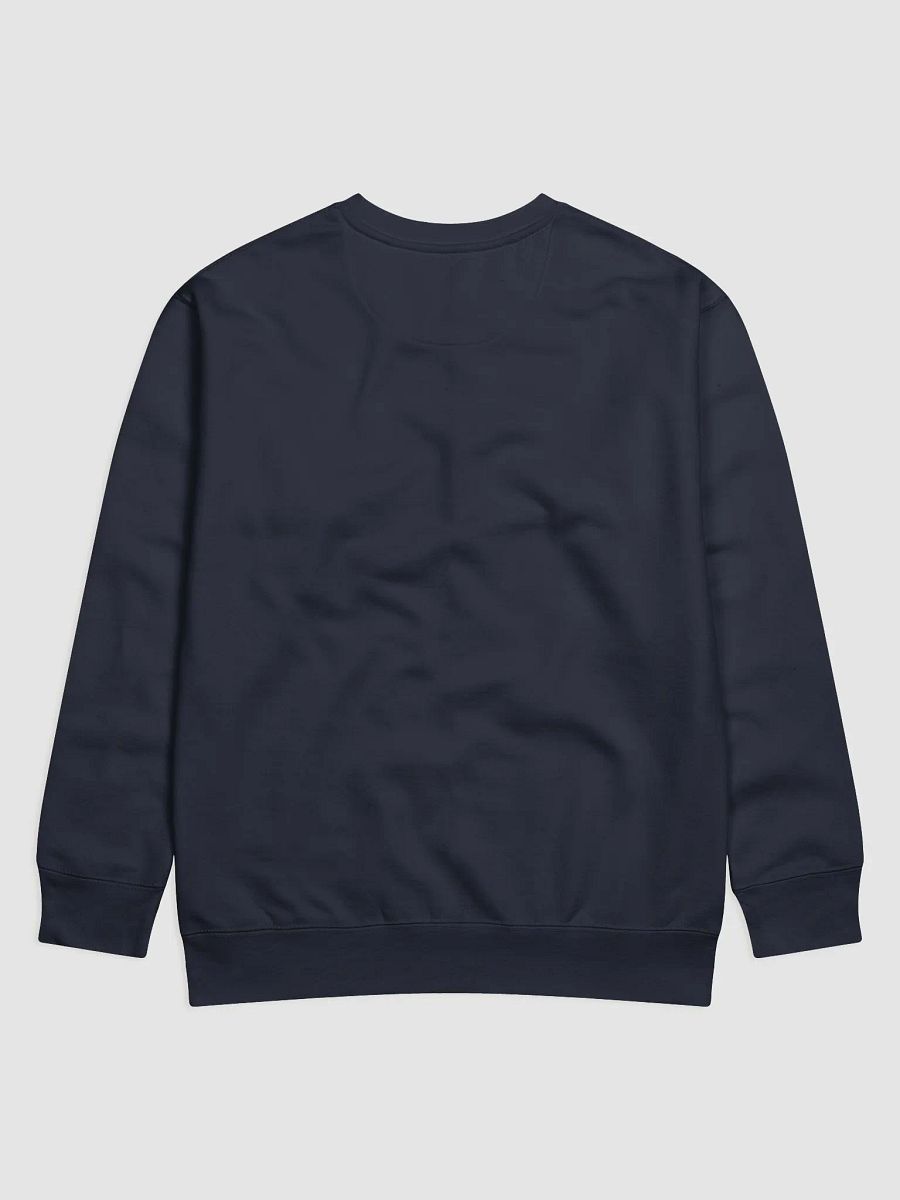 GUILLOVELO TURTLESYNC SWEATSHIRT product image (3)