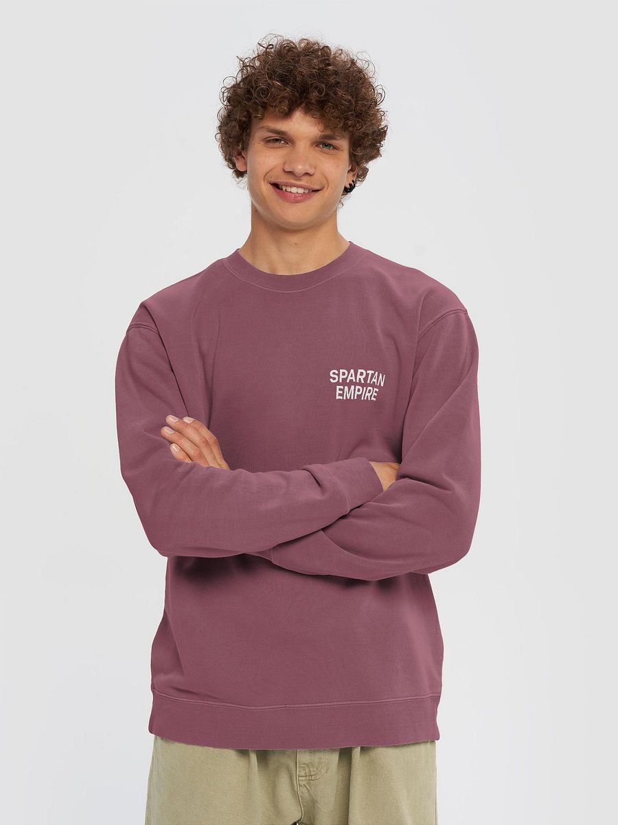 The Elite Sweater (Maroon / White) product image (5)