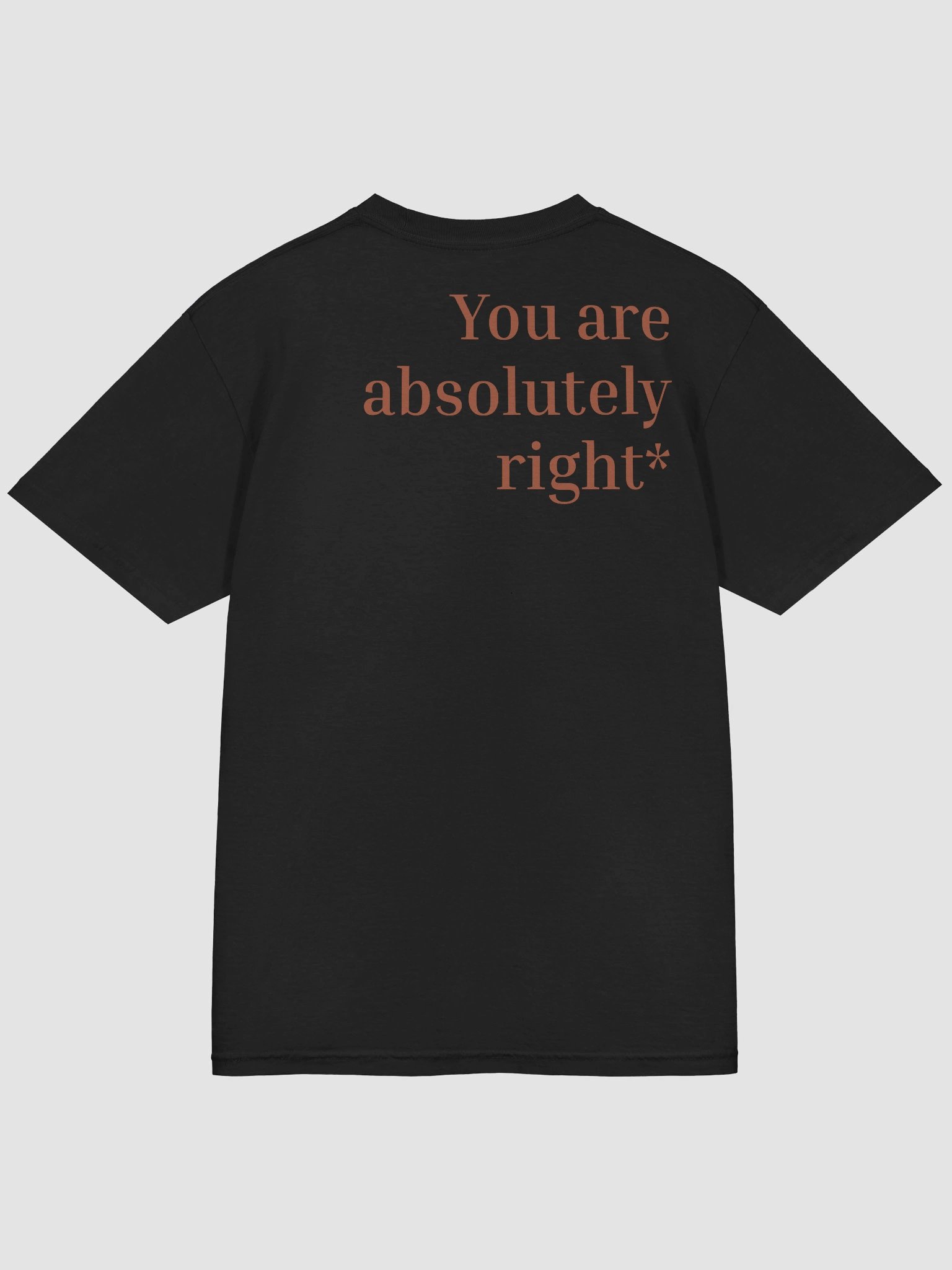 You are absolutely right T-shirt (100% cotton) product image (4)