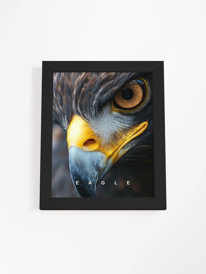 Eagle's Eye Matte Poster product image (6)