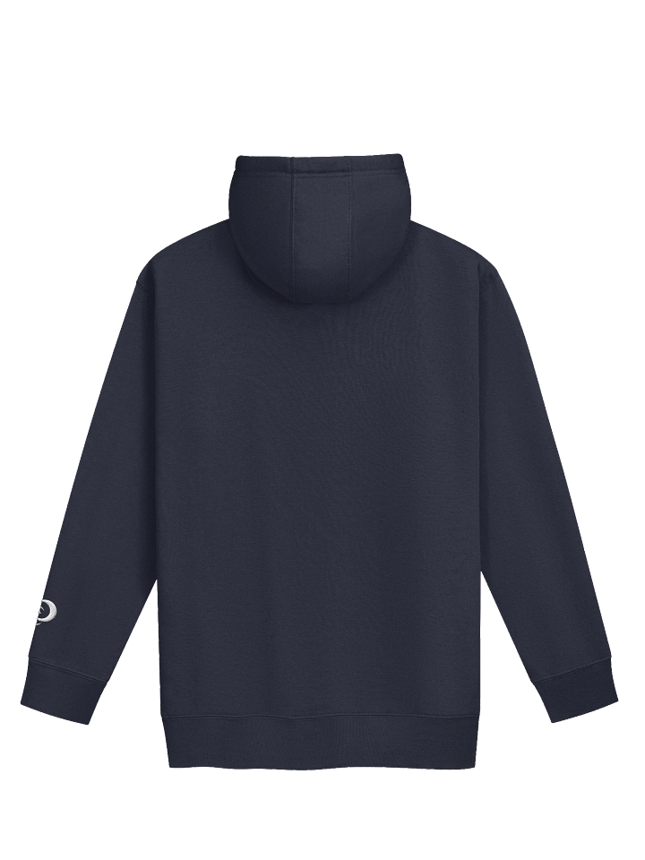 RICH – Risk Unisex Hoodie product image (15)