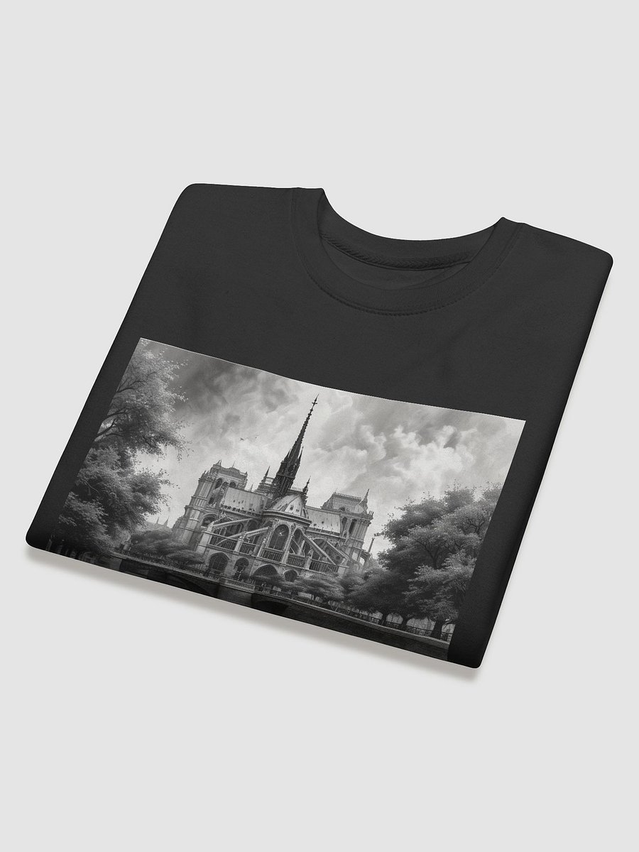 notre dame de paris product image (32)