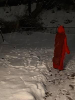 life in Maryland  #maryland #snow #fyp #seafood #dc #dmv #lobster #crab #comedy #onesie #kigurumi 