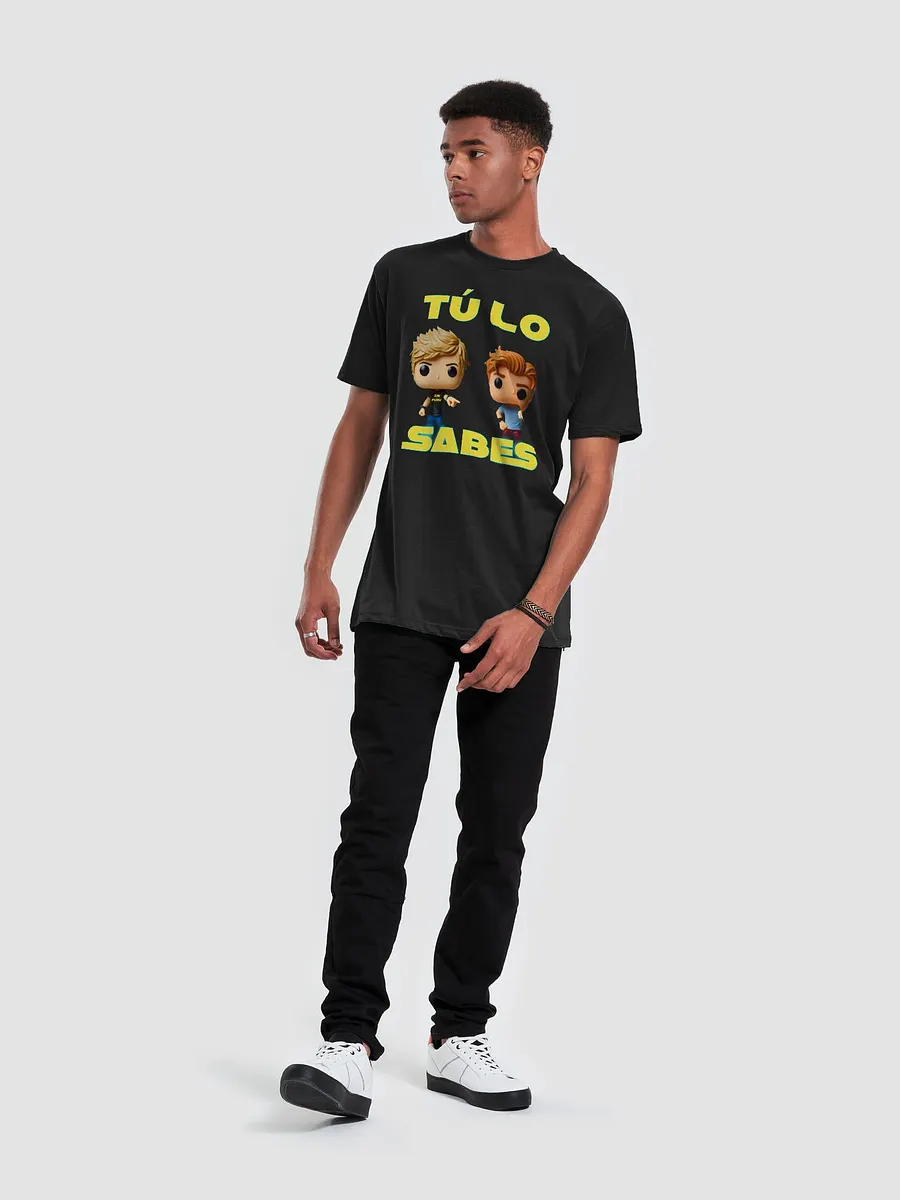 CAMISETA STANDARD LA INDECENTE product image (5)