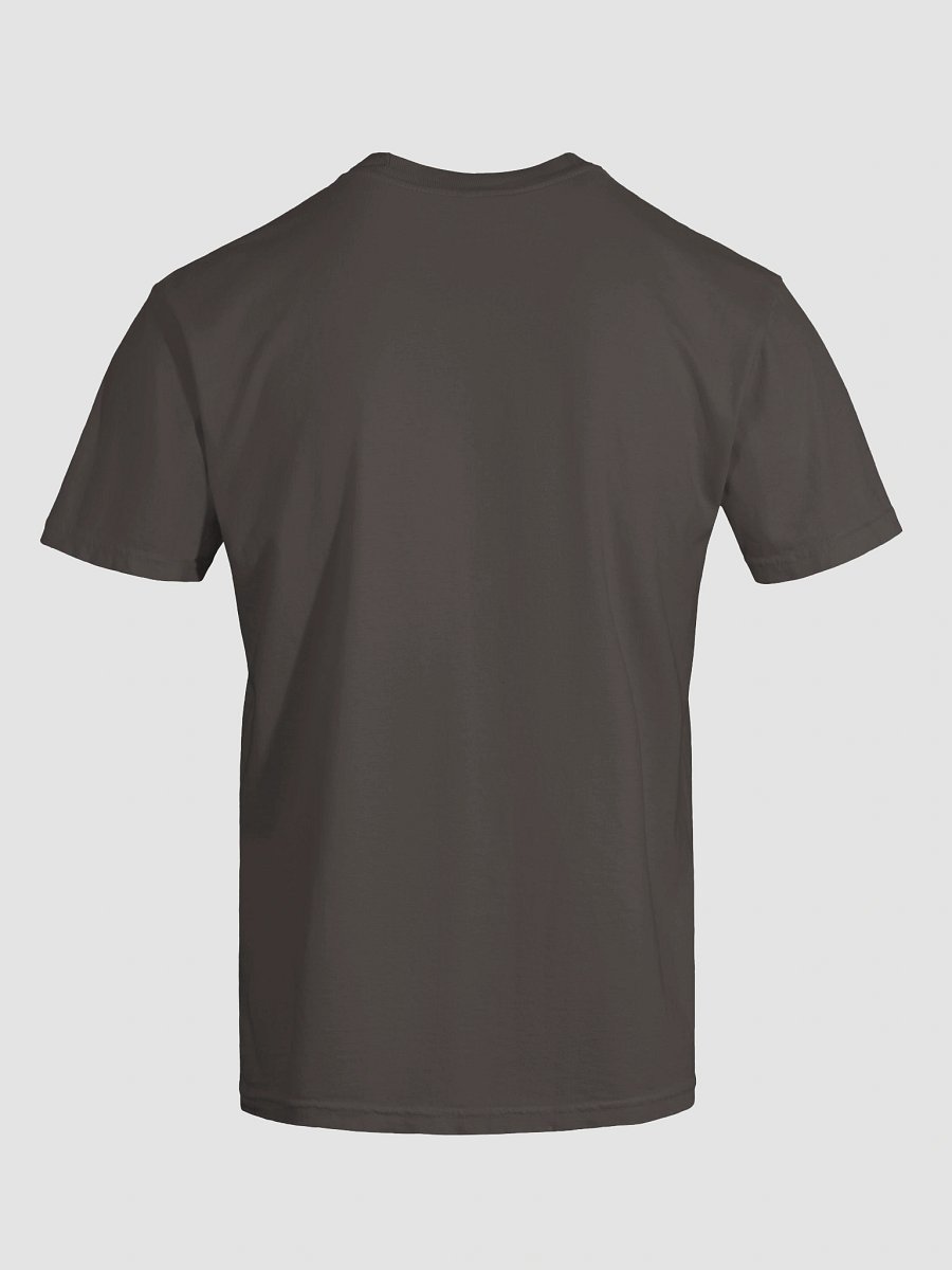 NO Puritanical Dookey LKM Modern Fit Tee product image (80)