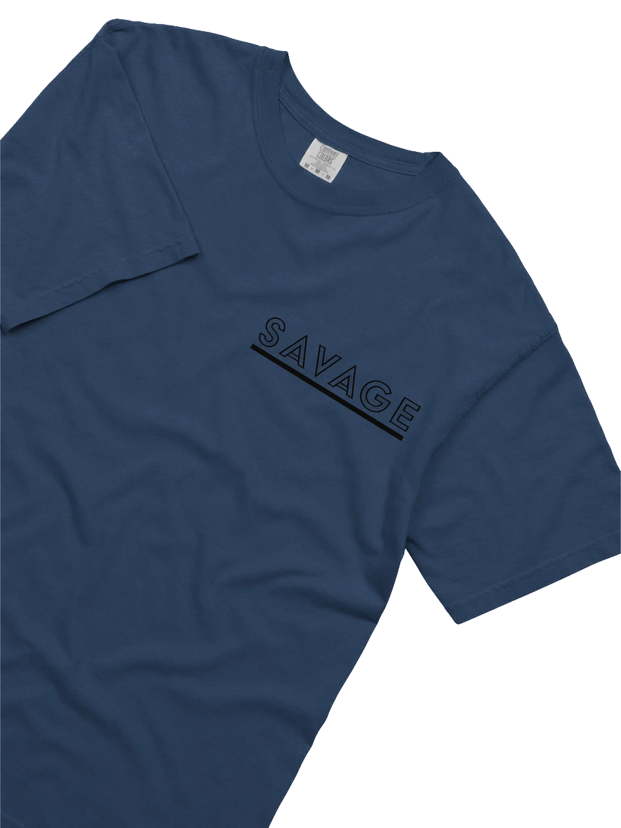 Savage World product image (30)