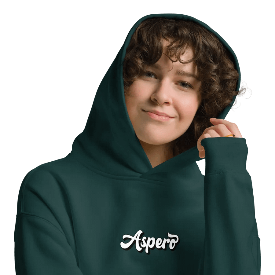 Aspero AS Colour Unisex Premium Oversized Hoodie product image (21)