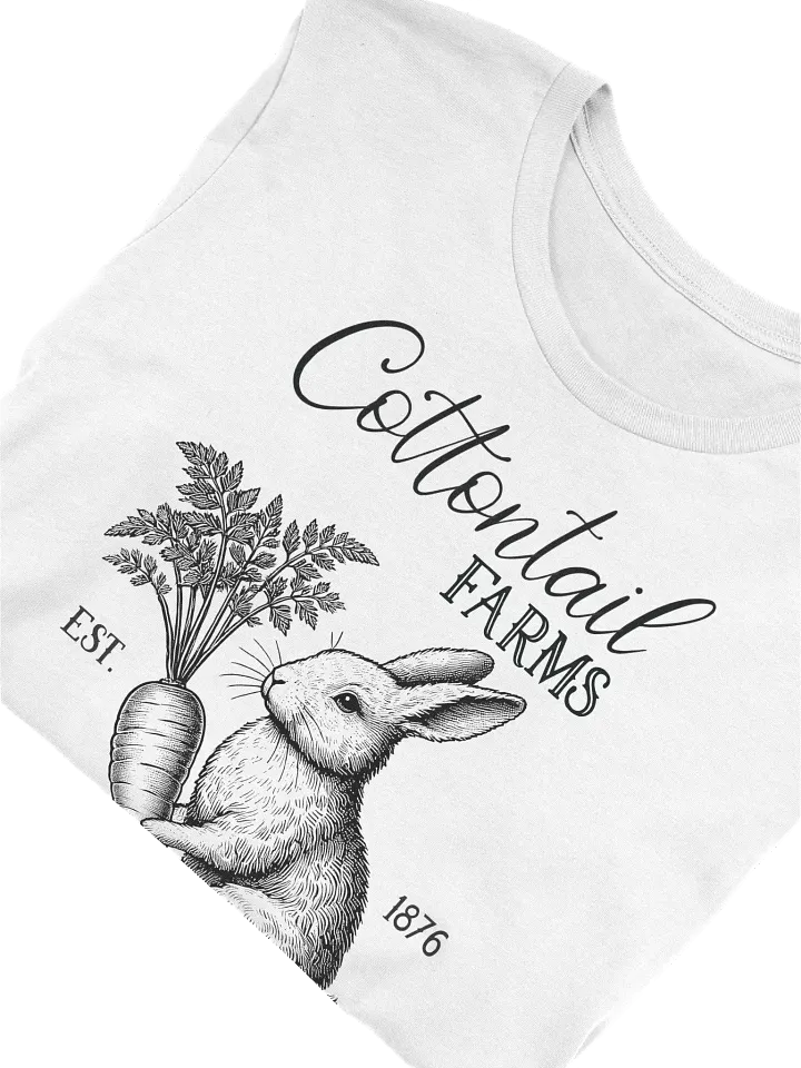 Cottontail Farms Vintage Ladies Tee product image (2)