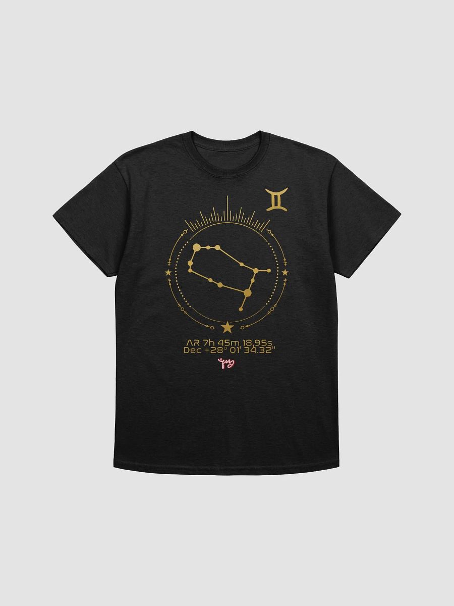 GEMINI product image (1)