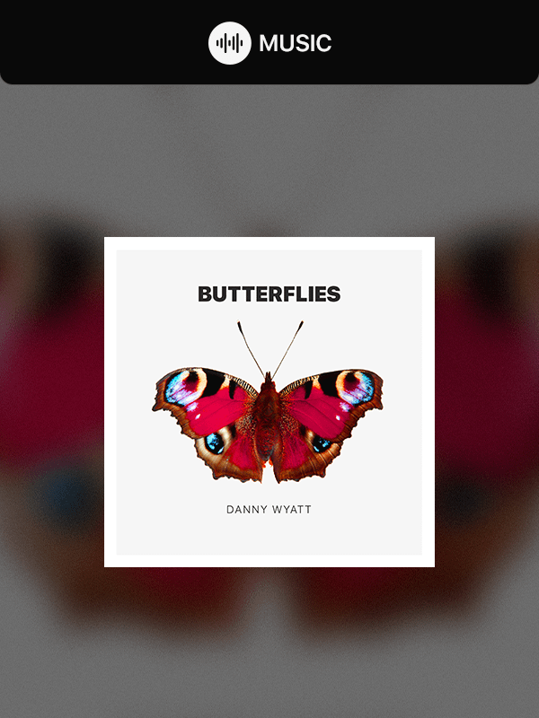 Butterflies (MP3 + WAV) product image (1)