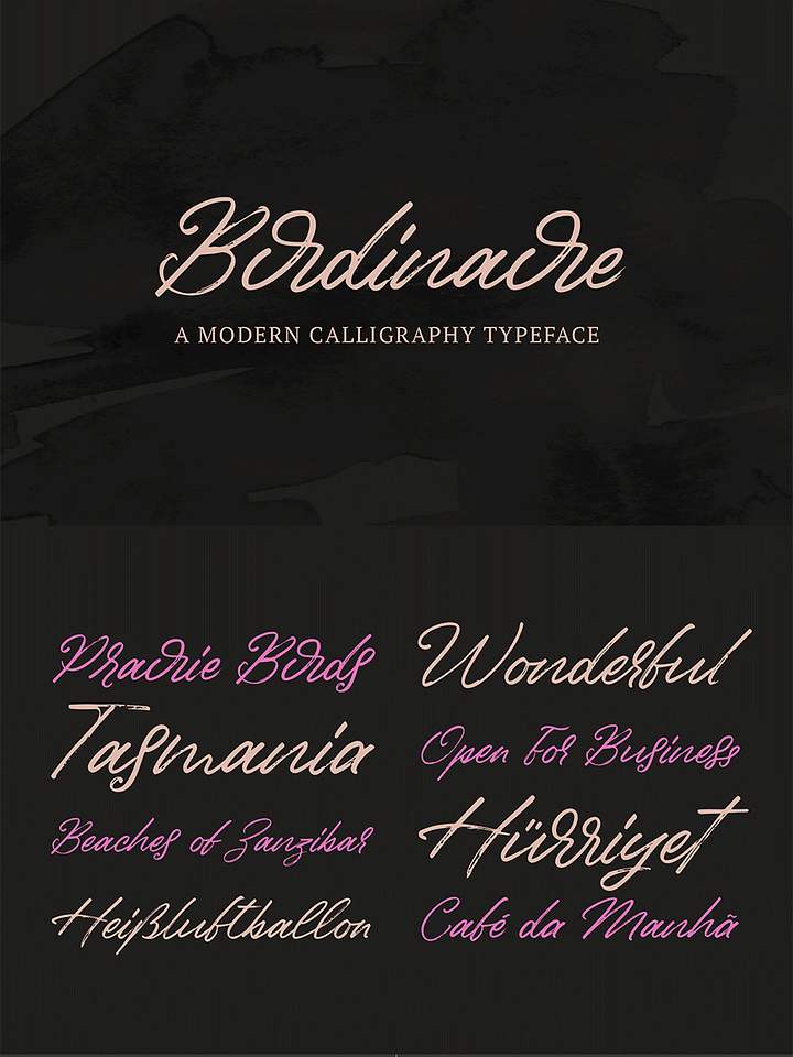 Birdinaire | A Modern Calligraphy Font product image (1)