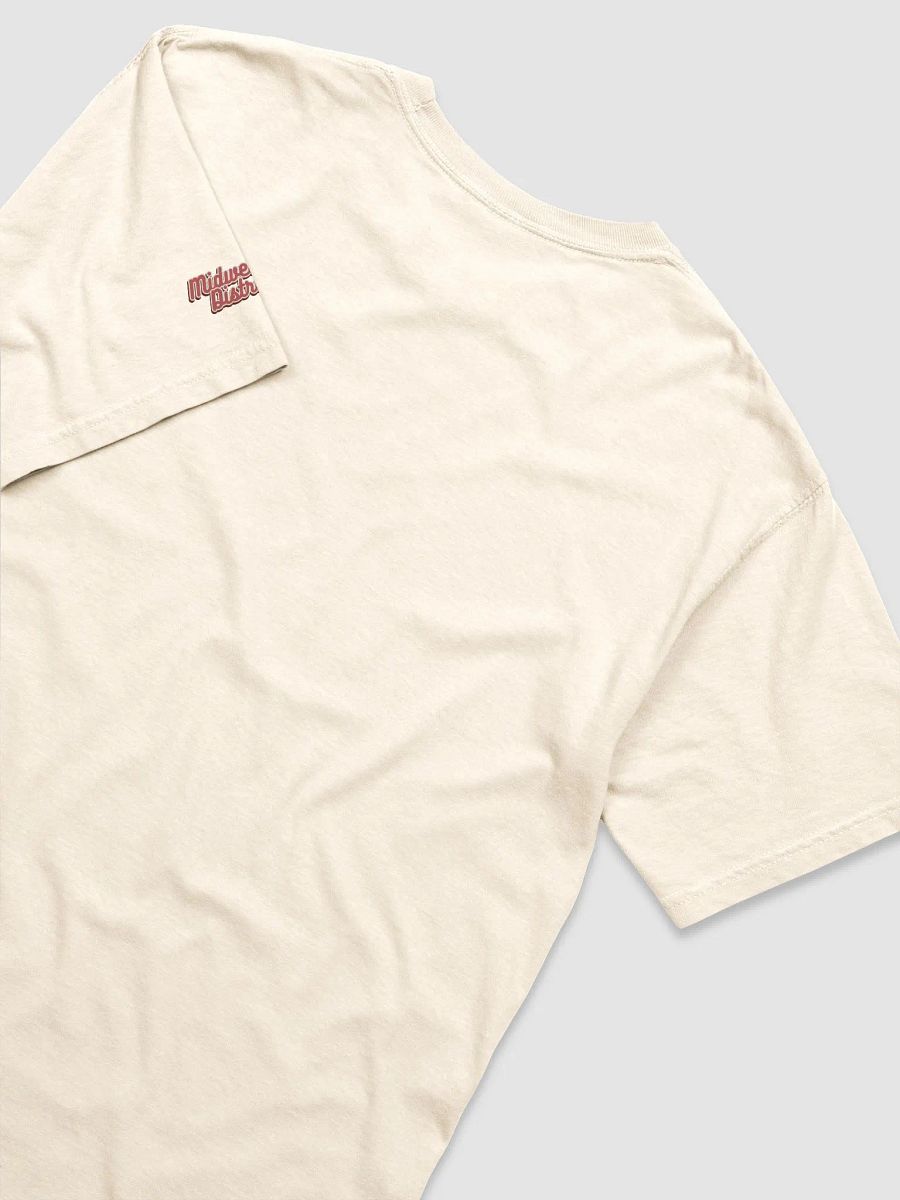 444 Cherries Embroidered Basic T-Shirt product image (28)
