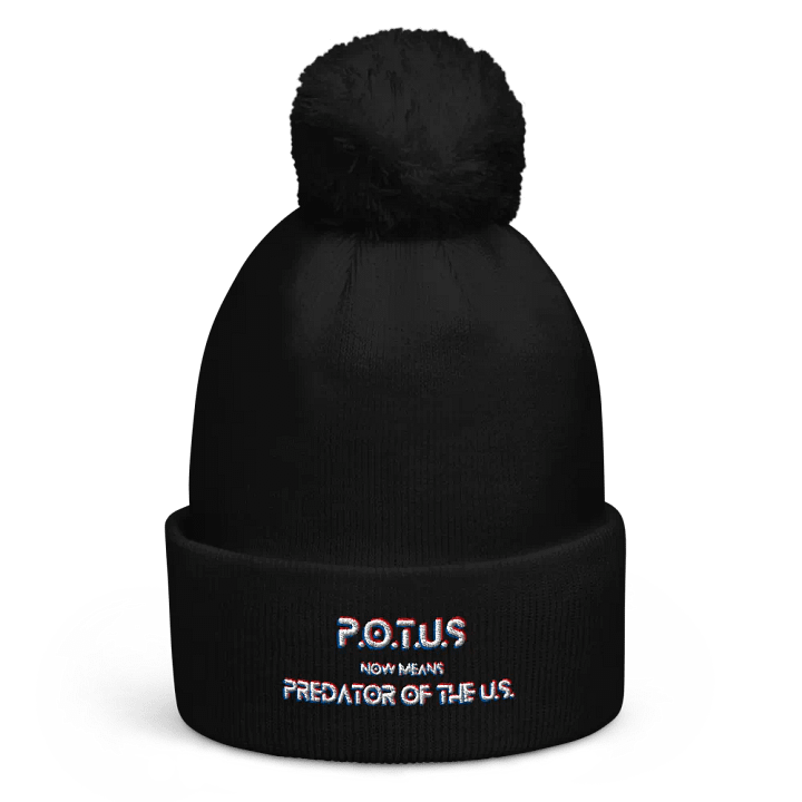 Resistors, What POTUS Now Means, Pom Beanie product image (1)