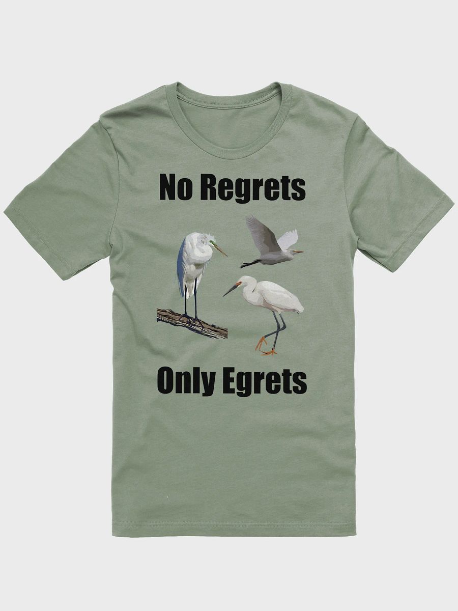 No Regrets Only Egrets T-shirt product image (1)