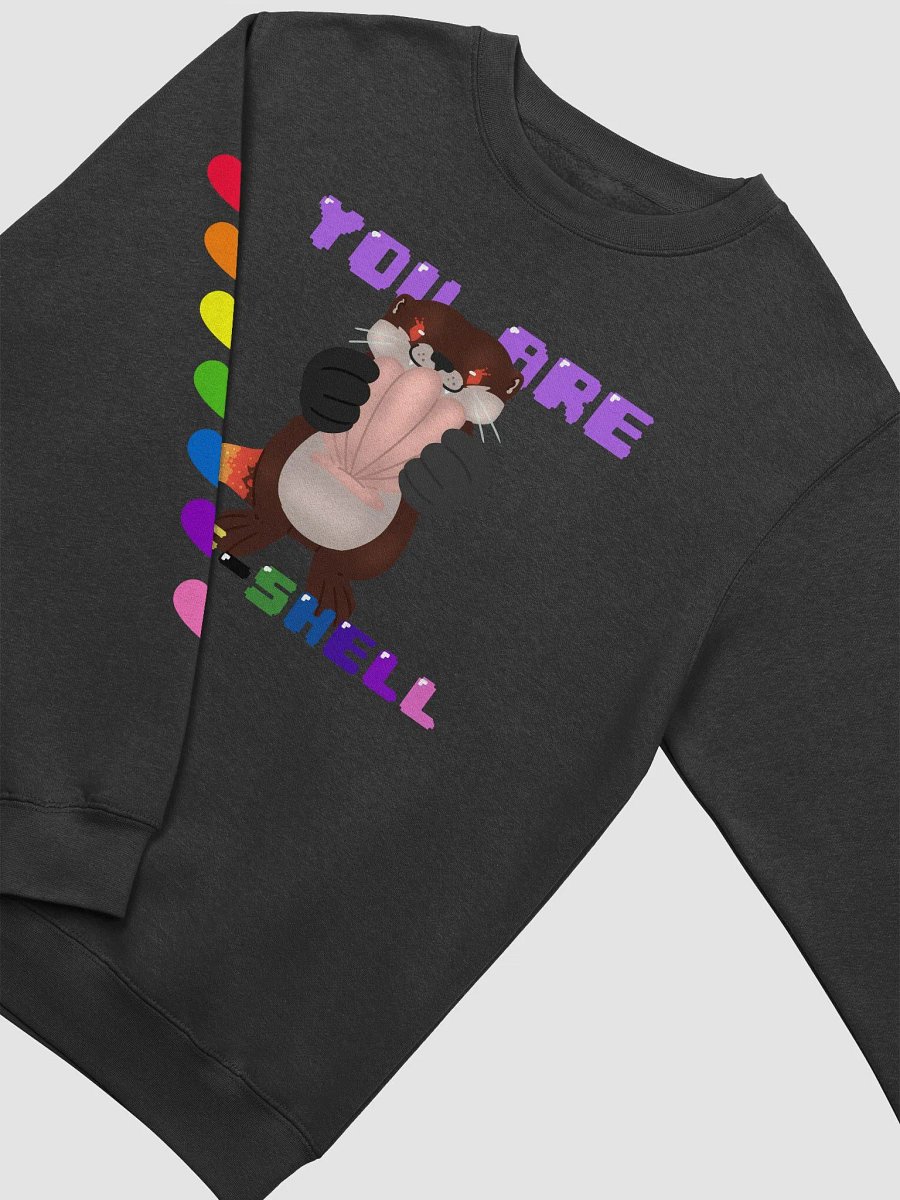 An Espe-Shell-y GAY Otter Sweatshirt product image (16)