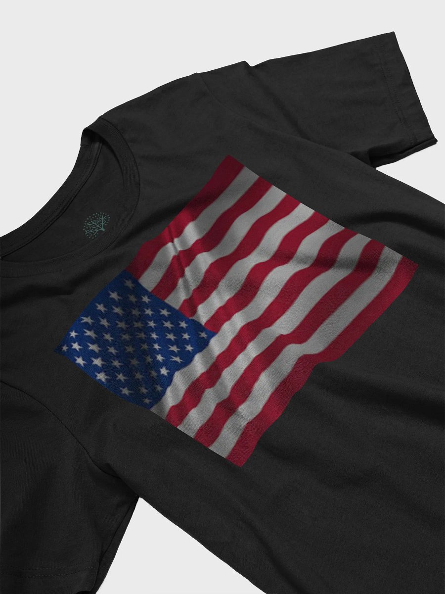 Graphic Grove Patriotic USA Flag Unisex Cotton T-Shirt product image (5)