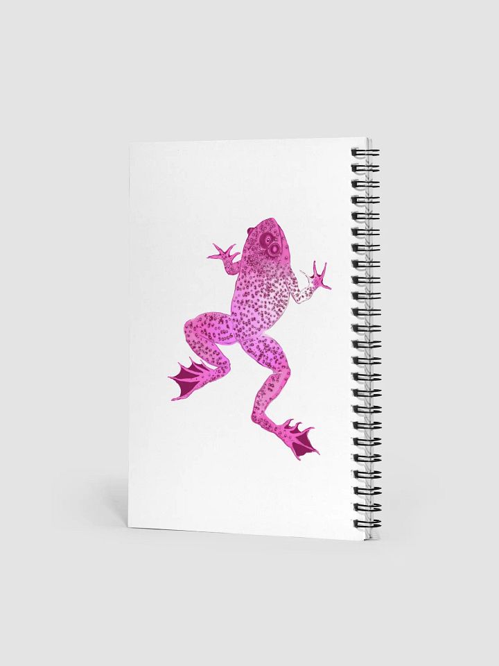 Pink Frog Journal product image (2)