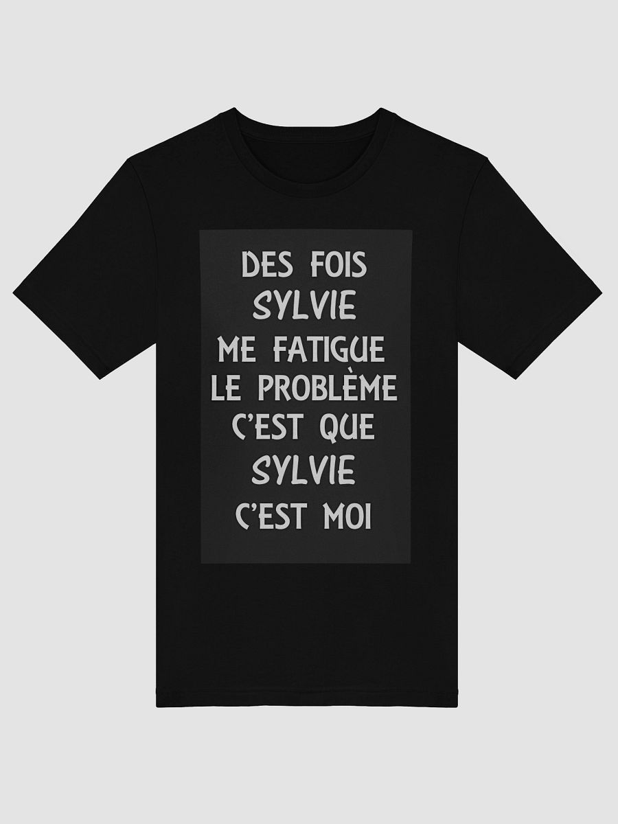 Des fois Sylvie me fatigue product image (5)