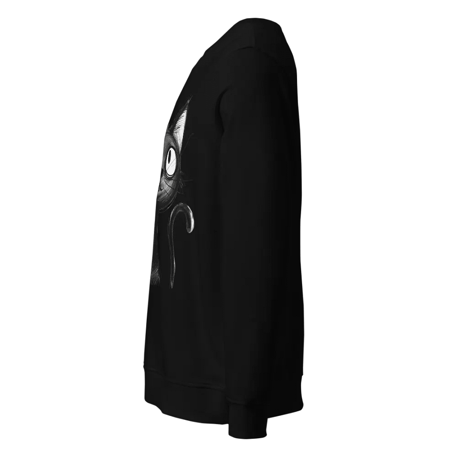 Black Kitty Organic Sweatshirt product image (3)
