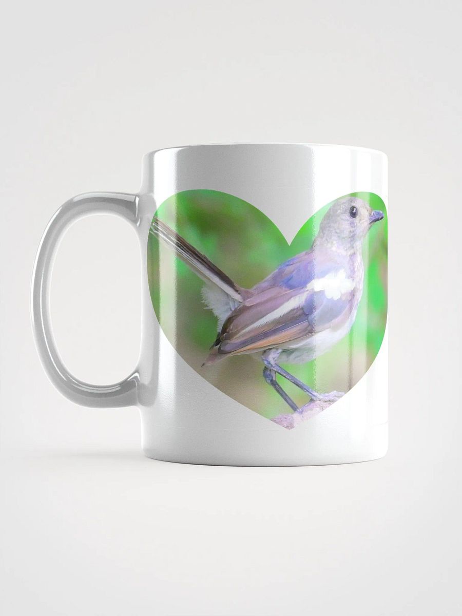 IUCAA Birds WHITE MUG product image (16)