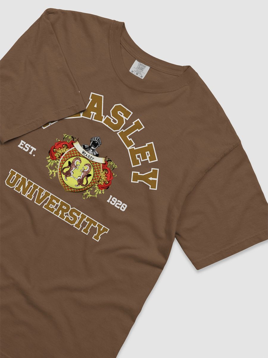 Loyalty University Vintage Collegiate Style Shirt product image (15)