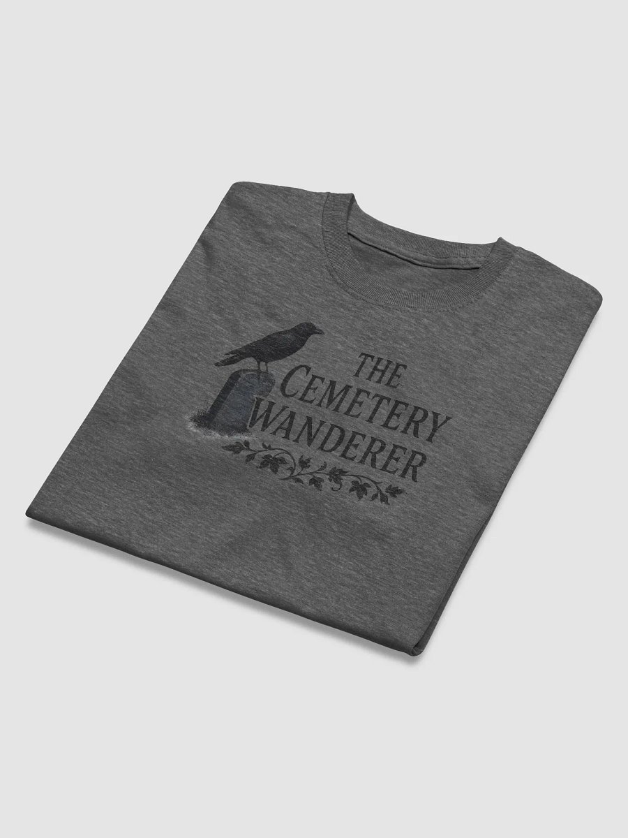 The Cemetery Wanderer Crow Relaxed Tee product image (36)